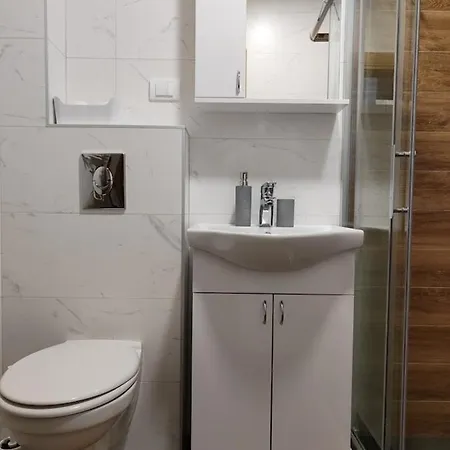 Apartment Golden Forest Zlatibor